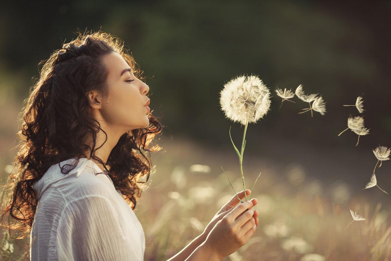 Traitement contre les allergies
